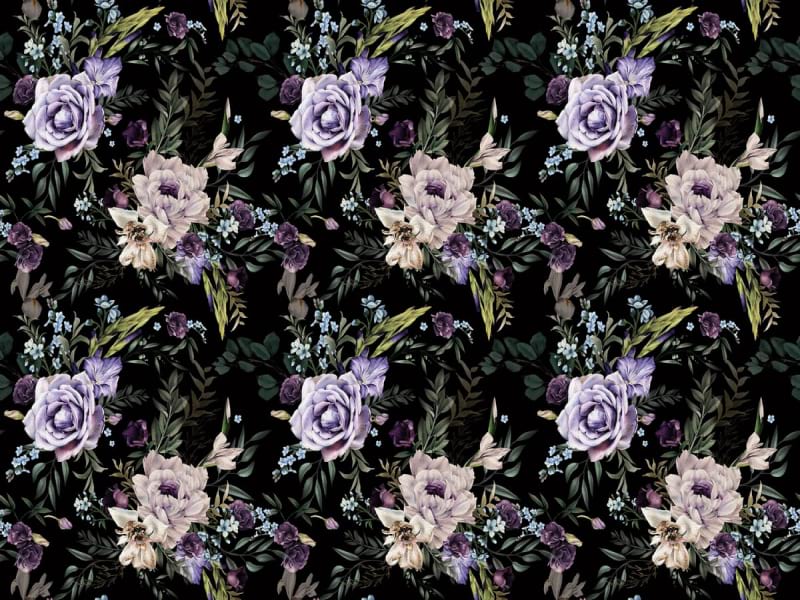Fototapeta Lila Rosen auf schwarzem Hintergrund