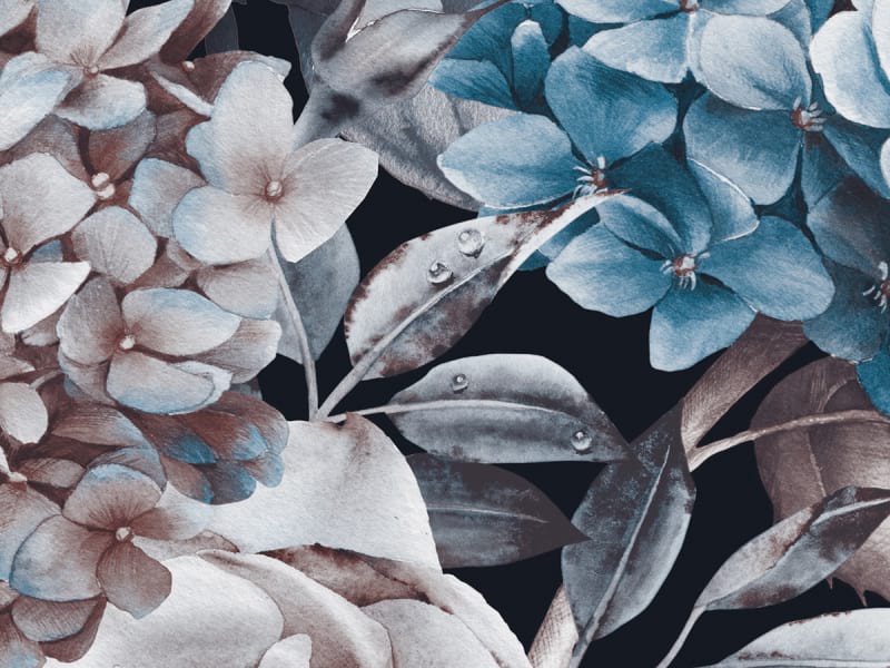 Fototapeta Blumen auf dunklem Hintergrund fragment # 1