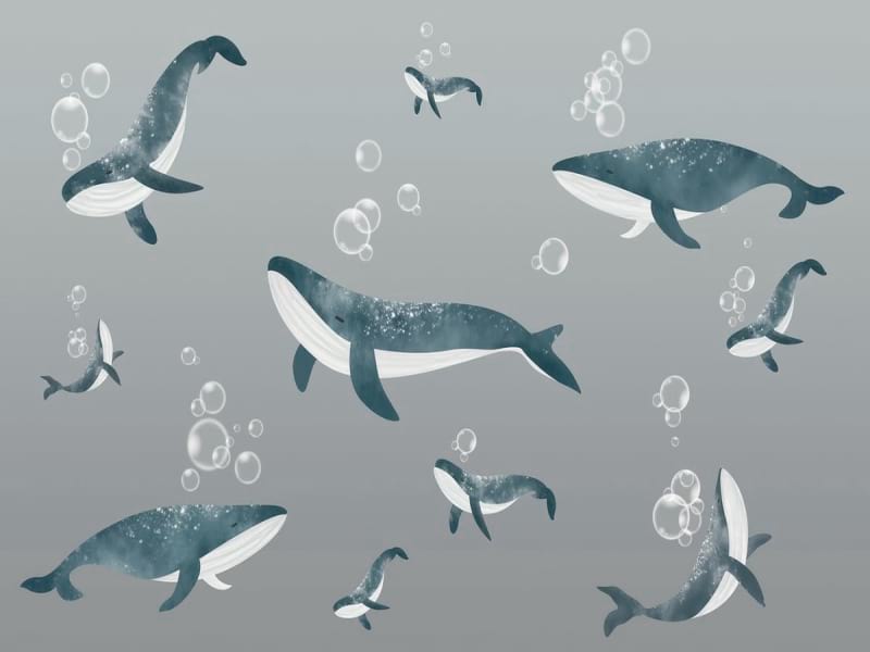 Fototapeta Wale unter Wasser