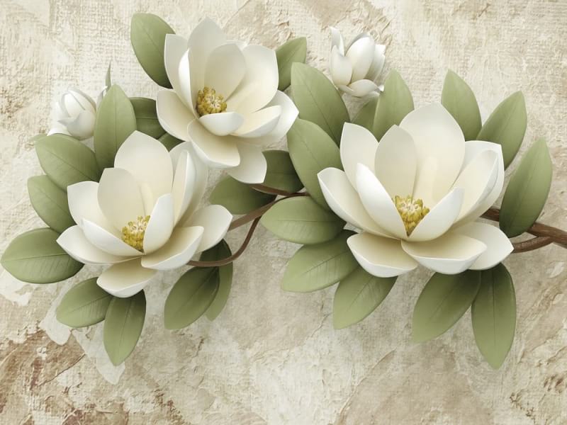 Fototapeta Wunderschöne weiße Blüten