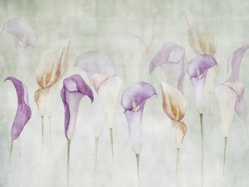 Fototapeta Gartenblumen-Aquarell