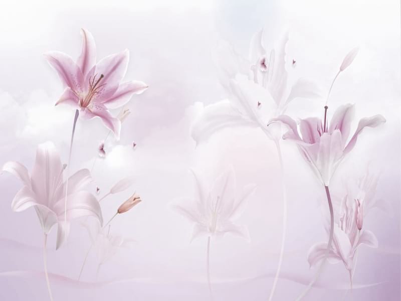 Fototapeta Wunderschöne Lilien