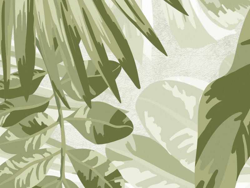 Fototapeta Monstera verlässt das Zeichnen fragment # 1