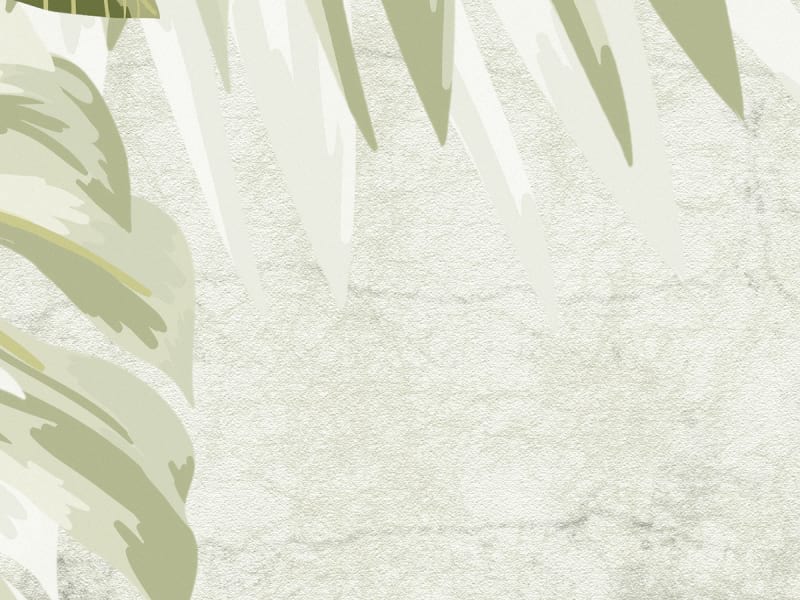 Fototapeta Monstera verlässt das Zeichnen fragment #2