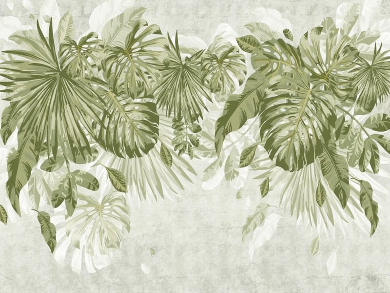 Fototapeta Monstera verlässt das Zeichnen