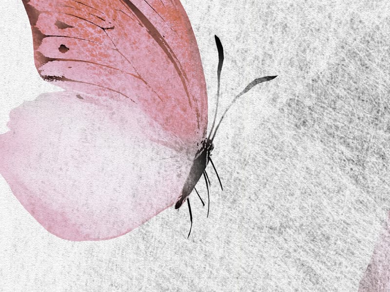 Fototapeta Schmetterling und Federn fragment # 1