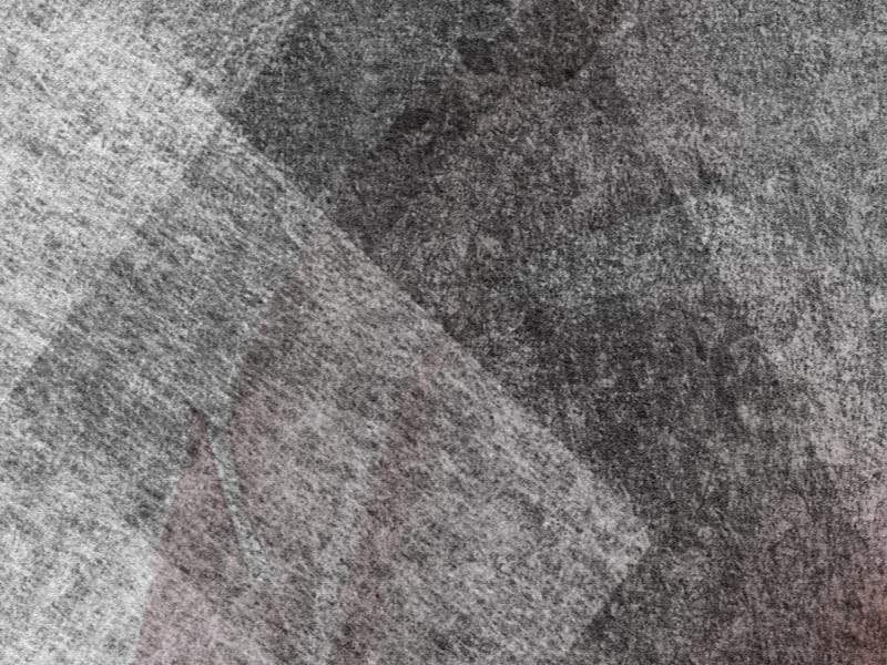 Fototapeta Schmetterling und Federn fragment #2