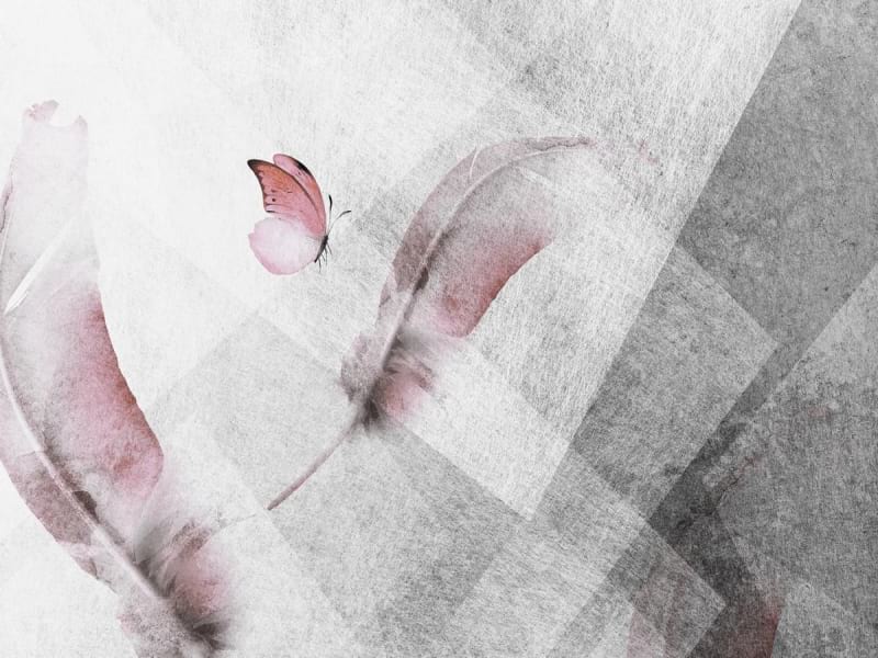 Fototapeta Schmetterling und Federn
