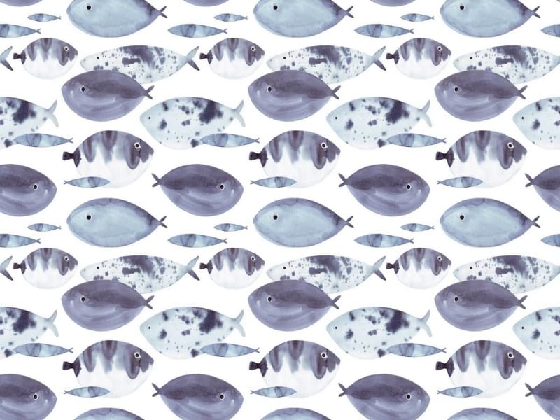 Fototapeta Wunderschöner Fisch