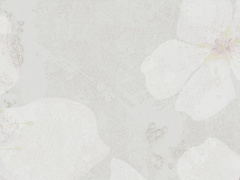 Fototapeta Sakura-Zweige fragment #2
