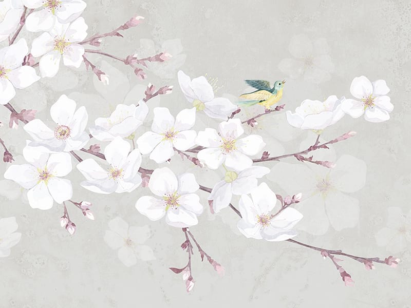 Fototapeta Sakura-Zweige