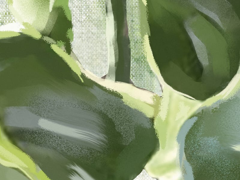 Fototapeta 3D-Blätter fragment # 1