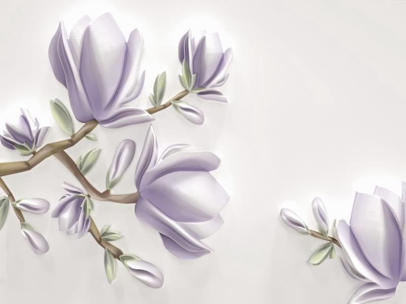 Fototapeta Zarte Magnolien