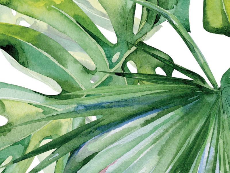 Fototapeta Hellgrüne Monstera-Blätter fragment # 1