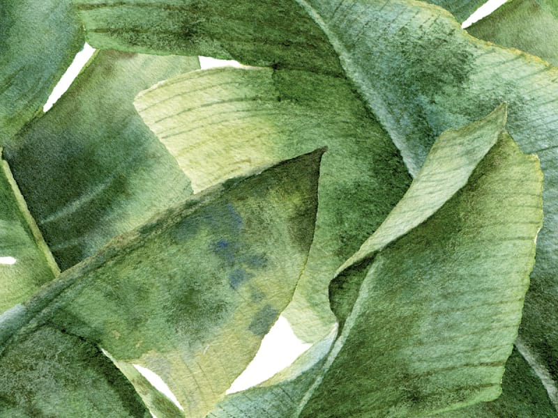Fototapeta Tropische Leichtigkeit fragment # 1