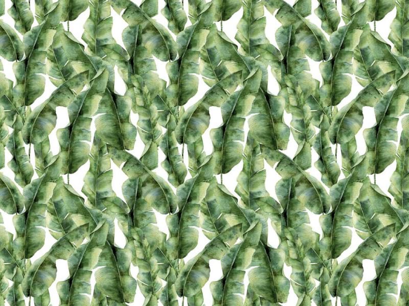 Fototapeta Tropische Leichtigkeit