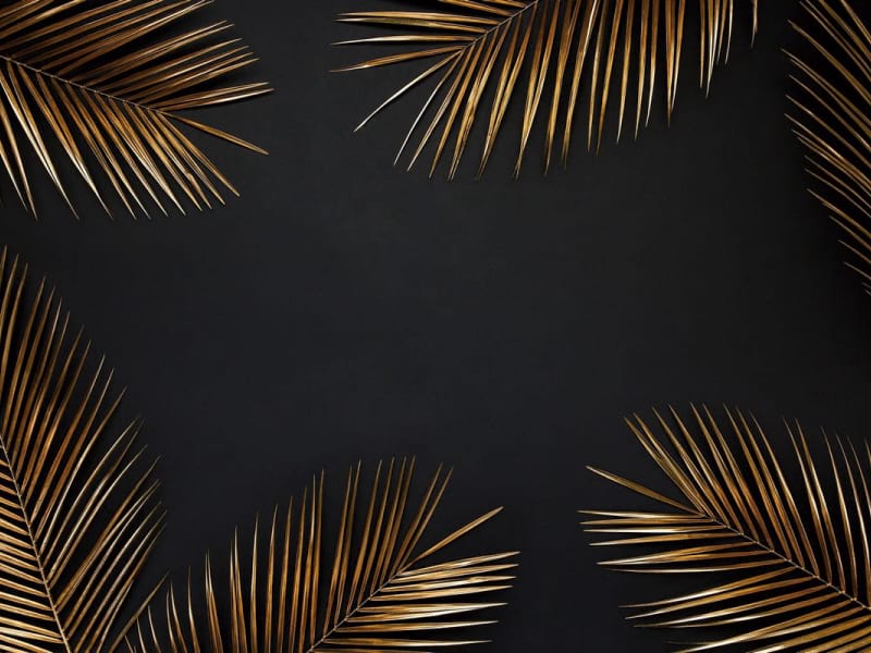 Fototapeta Goldene helle Palmblätter