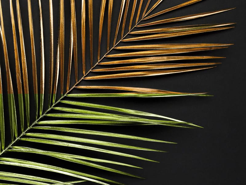 Fototapeta Goldene Palmblätter fragment # 1
