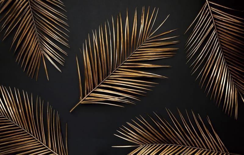 Fototapeta Goldene Palmblätter