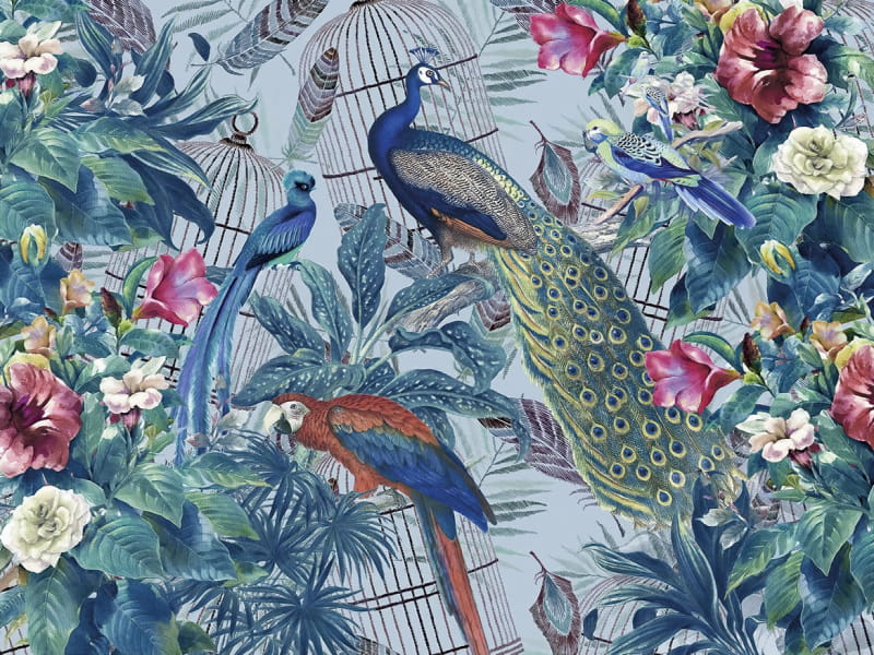 Fototapeta Schöne Vögel im Garten