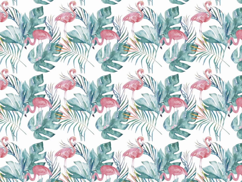 Fototapeta Rosa Flamingos in Blättern