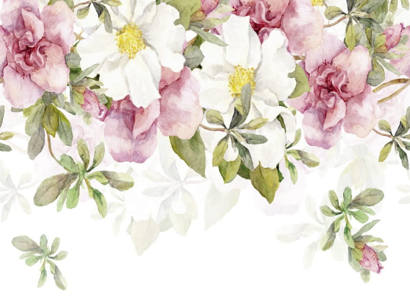 Fototapeta Zarte Morgenblumen