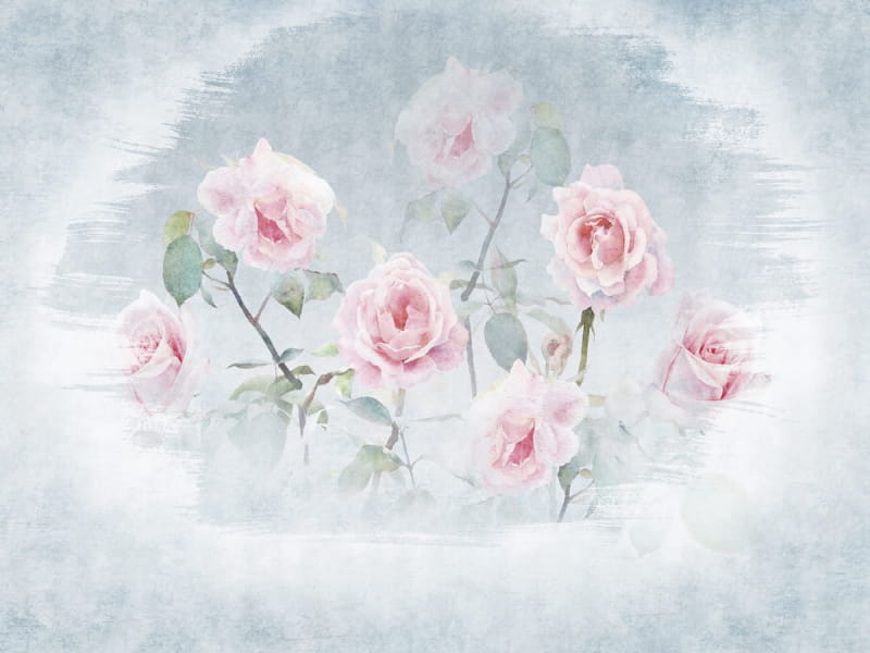 Fototapeta Zauberhafte Rosen