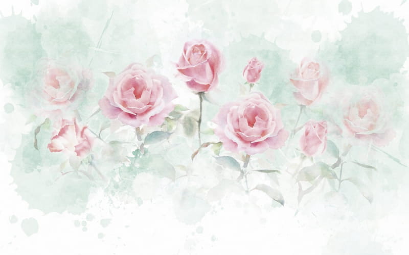 Fototapeta Rosen im Morgengarten