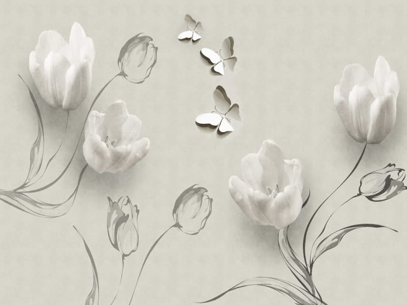 Fototapeta Zarte Tulpen 3D