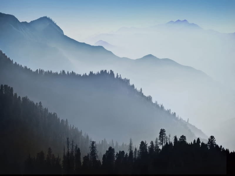 Fototapeta Nebel in einem Bergtal