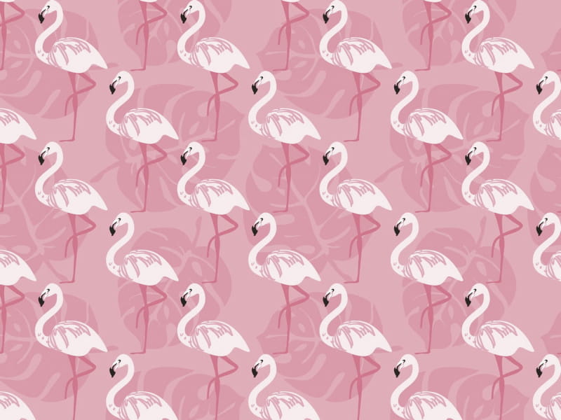 Fototapeta Flamingo auf rosa Hintergrund