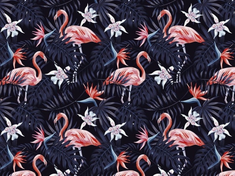 Fototapeta Flamingos in den nächtlichen Tropen