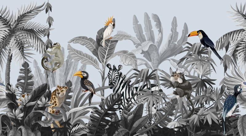 Fototapeta Vögel in den Tropen