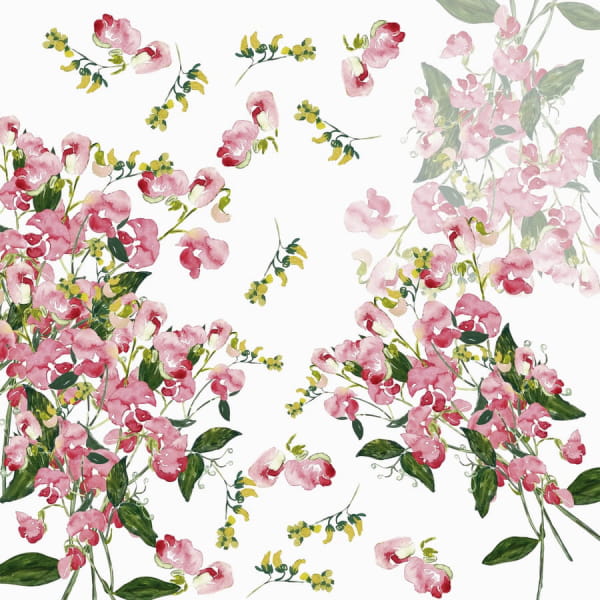 Fototapeta Die Schönheit der Blumen