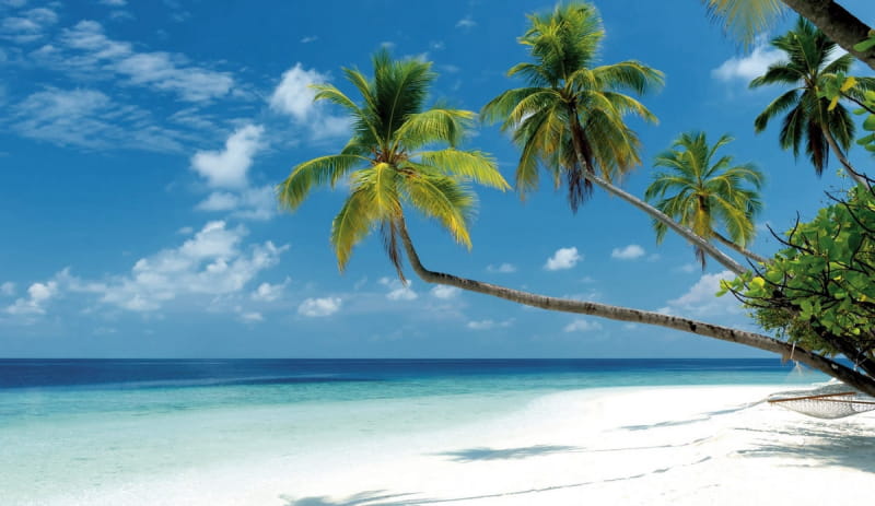 Fototapeta Paradiesische Inseln