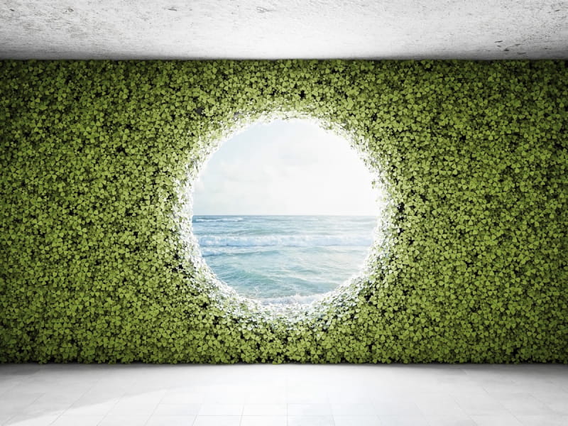 Fototapeta Meer hinter der grünen Wand
