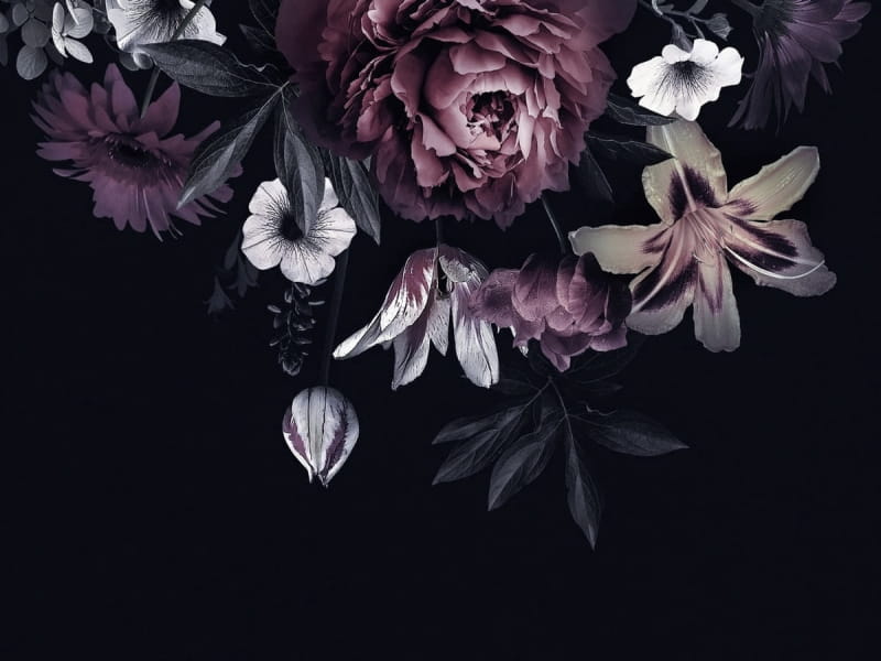 Fototapeta Blumen im Dunkeln
