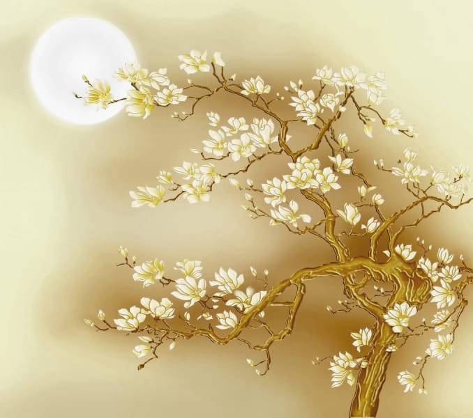 Fototapeta Goldene Magnolienblüte
