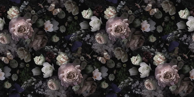 Fototapeta Malerische Rosen