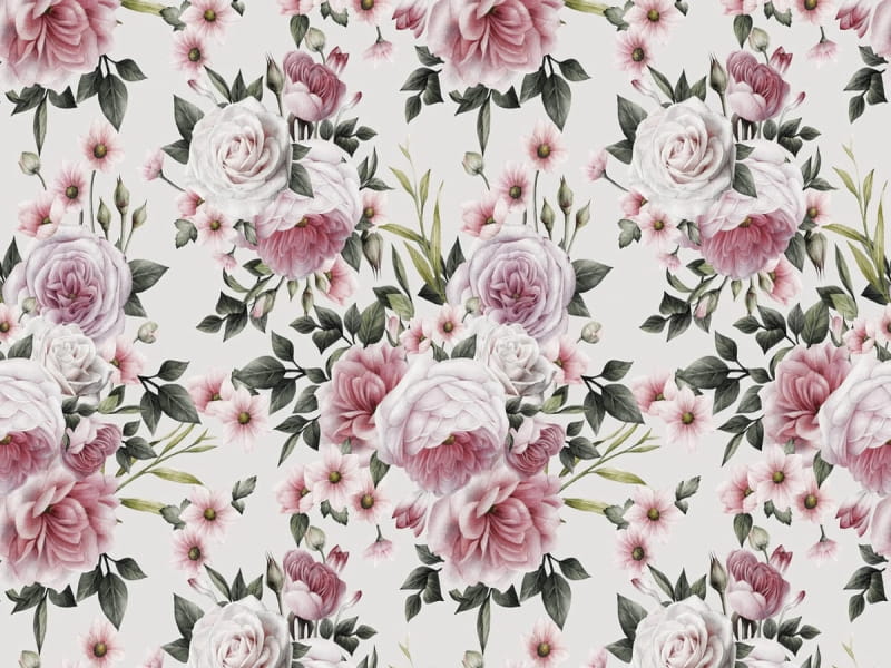 Fototapeta Zart pudrige Rosen