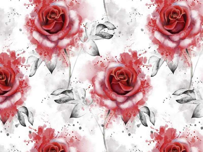 Fototapeta Rote Rosen-Aquarell 