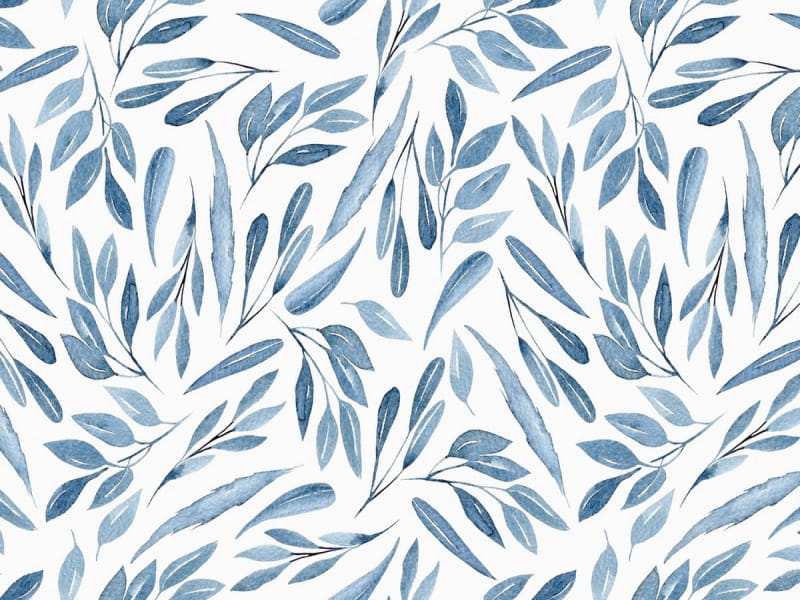 Fototapeta Blaues Laub