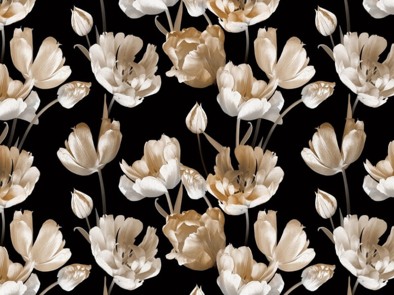 Fototapeta Goldene Tulpen