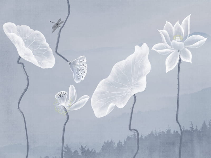 Fototapeta Lotusblumen