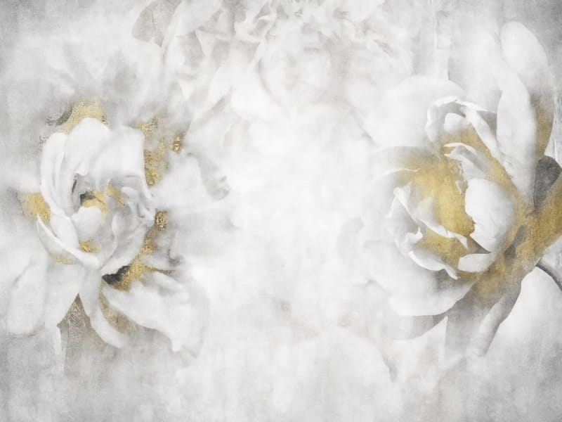 Fototapeta Blumen in einem weißen Dunst