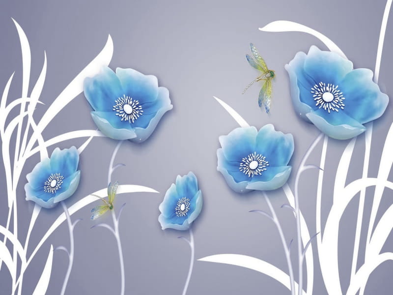 Fototapeta Blaue Mohnblumen