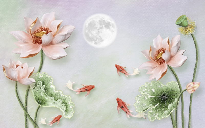 Fototapeta Zarter Lotus 3D