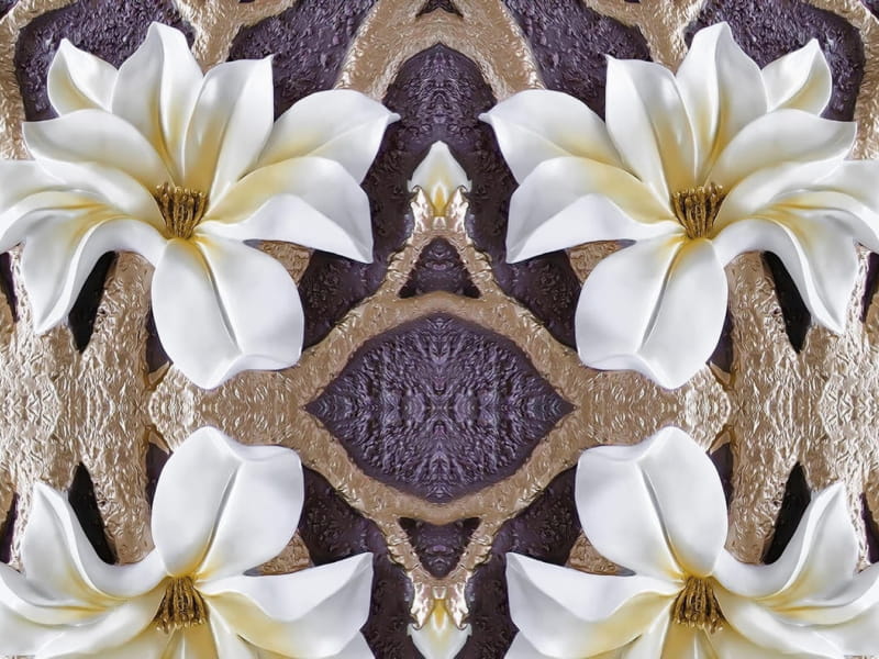 Fototapeta Weiße Magnolien 3D