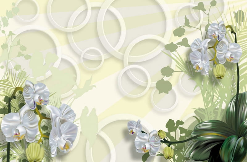 Fototapeta Weiße Orchideen und Ringe