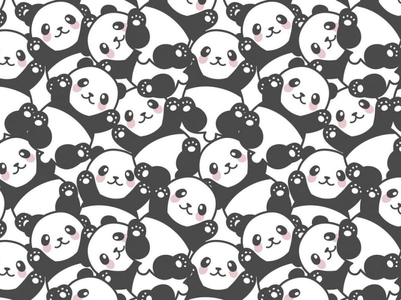 Fototapeta Süße Pandas